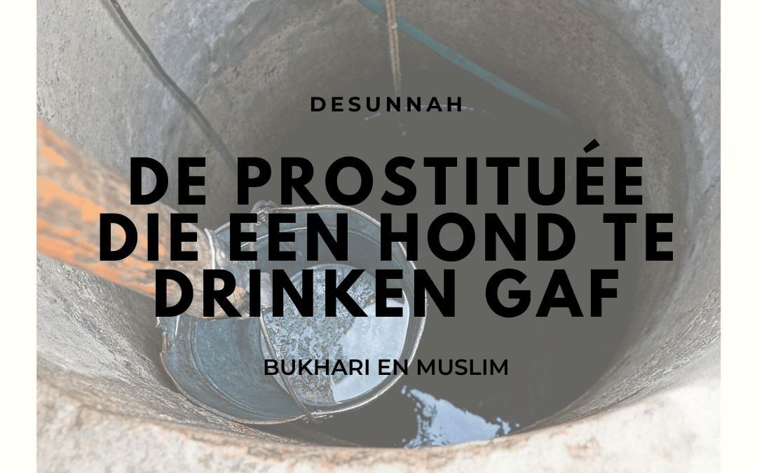De prostituée die een hond te drinken gaf
