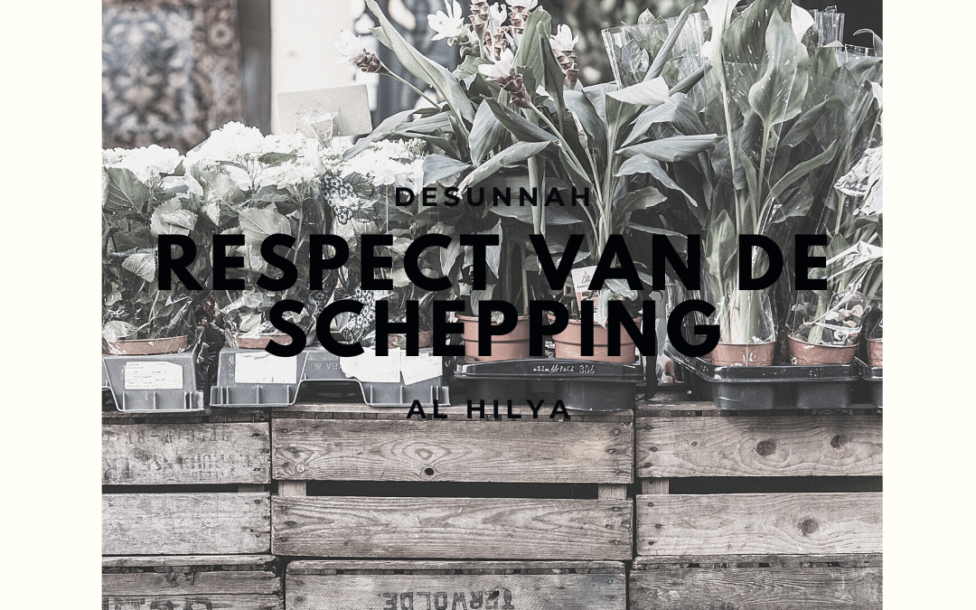 Respect van de schepping
